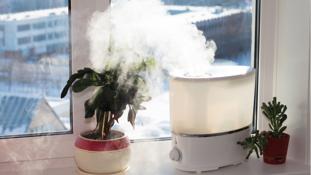 Humidifiers 101: Understanding the Different Types of Humidifiers