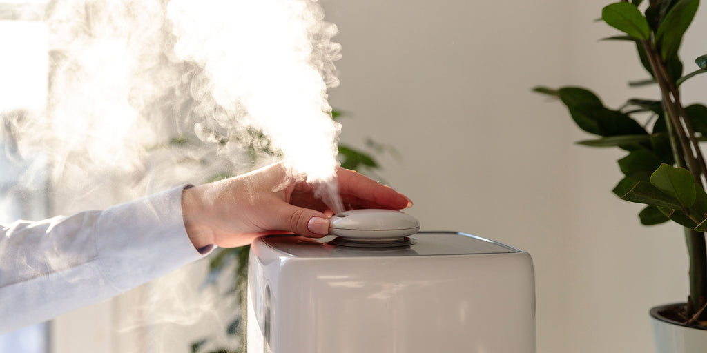 How to Properly Clean and Maintain Your Humidifier