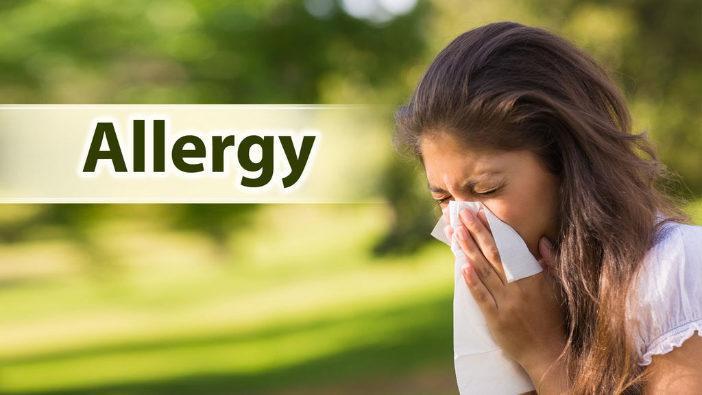 How Humidifiers Can Help with Seasonal Allergies